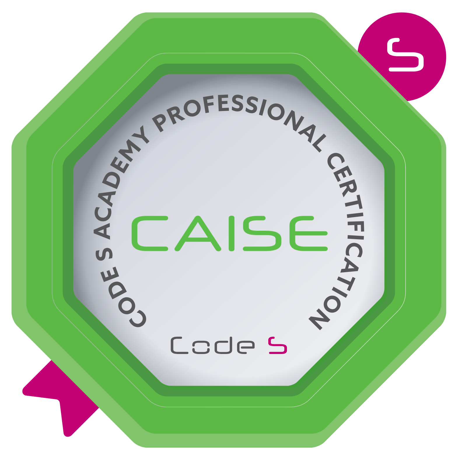 Certified AI Sustainability Expert (CAISE)